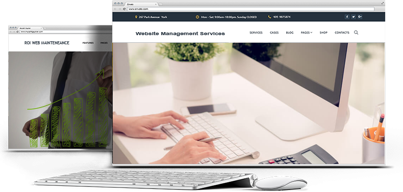 Website Management Services Flintshire